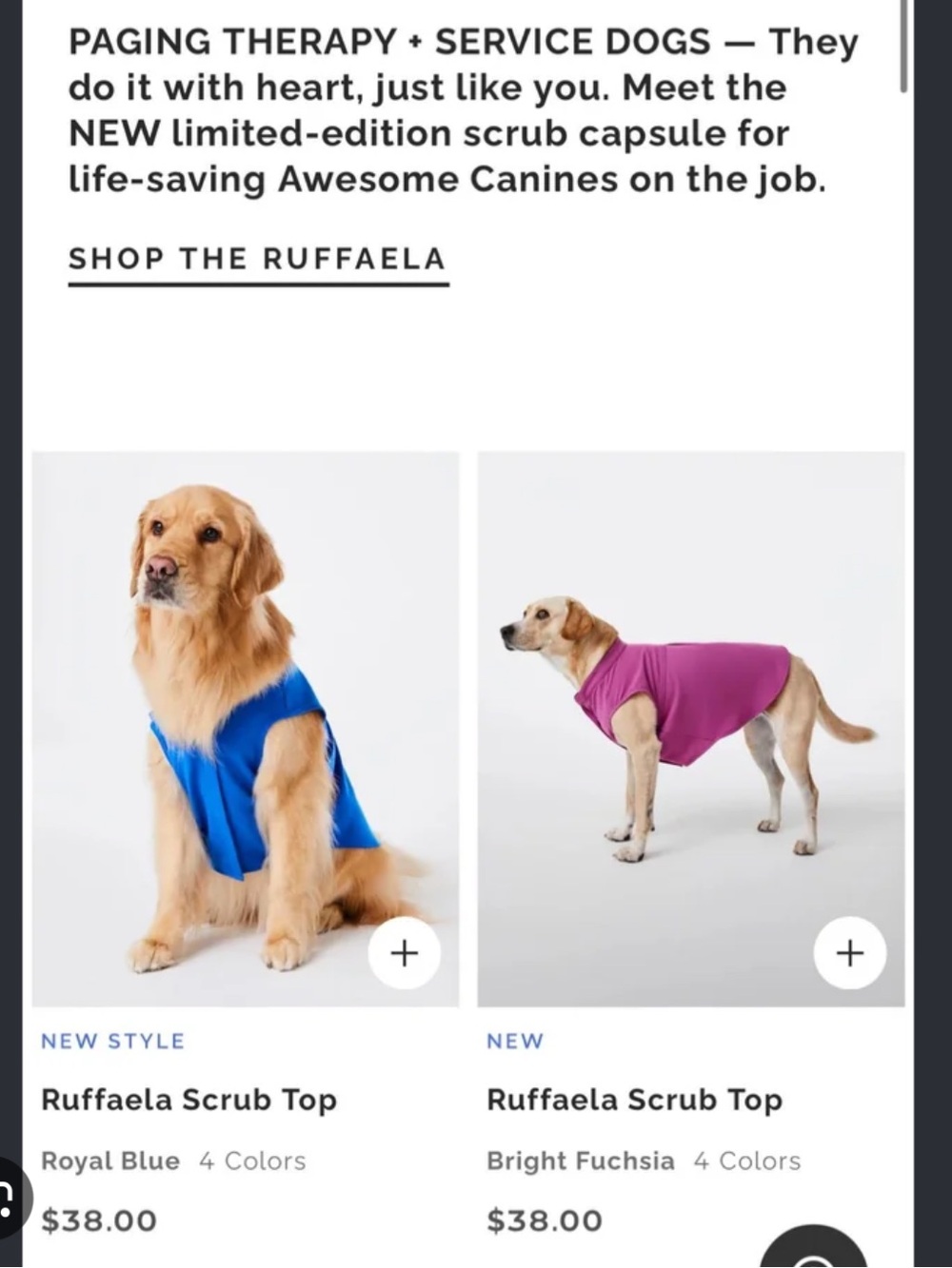 ISO Figs Dog Scrub Top